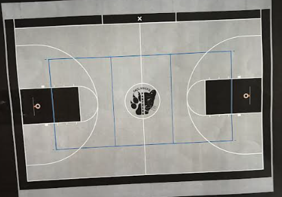 a graphic of what the entire floor looks like - it is grey with blue and white striping. there is black when the basketball hoops are at each end and in the middle is the half panther face and paw logo