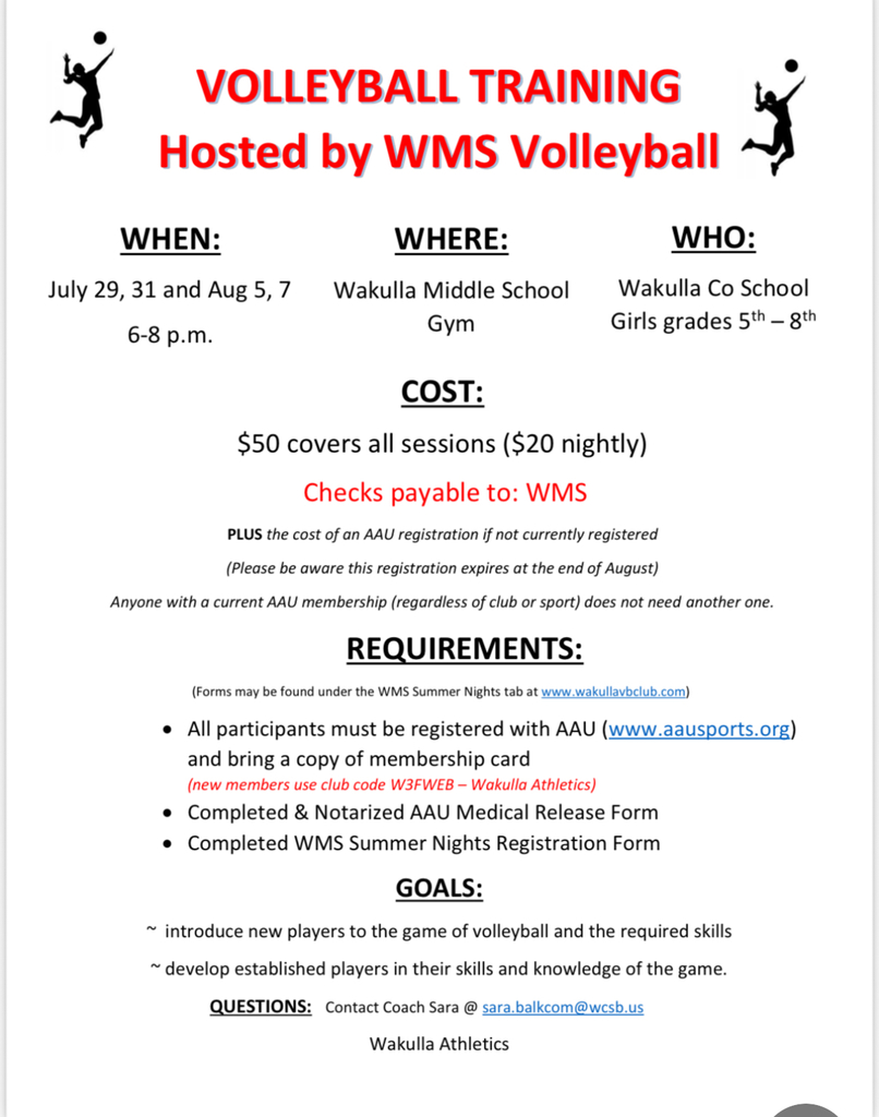 Volleyball Camp