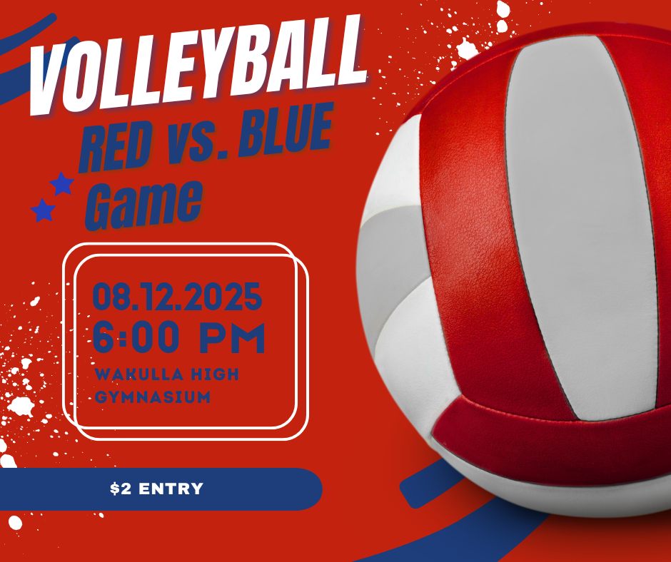 Volleyball Red and Blue