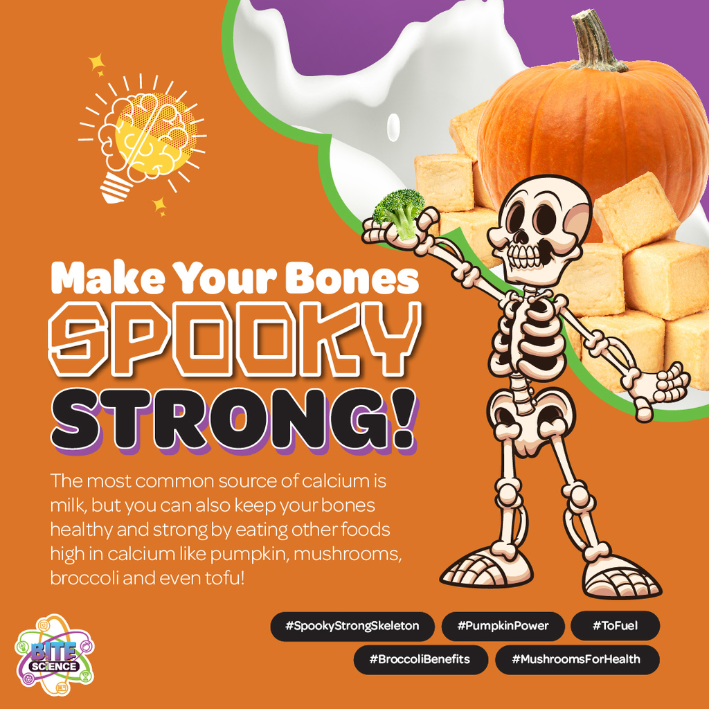 🎃 Bite Science: Make Your Bones Spooky Strong! 🦴 This October, we’re celebrating Bone Health Month with a delicious twist! In partnership with Sodexo, Wakulla County Schools is serving up Pumpkin Penne Alfredo this Wednesday as part of our Bite Science series. With Bite Science, there’s science in every bite — from how we taste and smell to how the food we eat fuels our bodies. Pumpkin Penne Alfredo is rich in calcium and vitamin D–boosting nutrients that help build and maintain strong bones. 👻 So dig in, learn, and make your bones spooky strong!