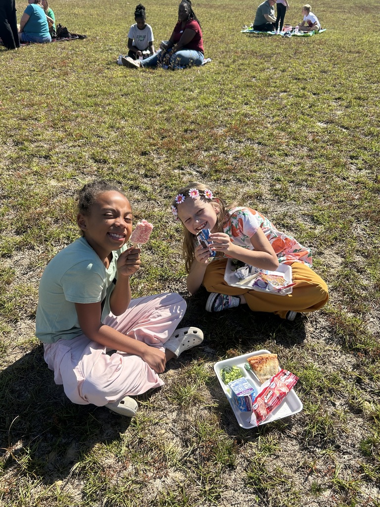 picnic