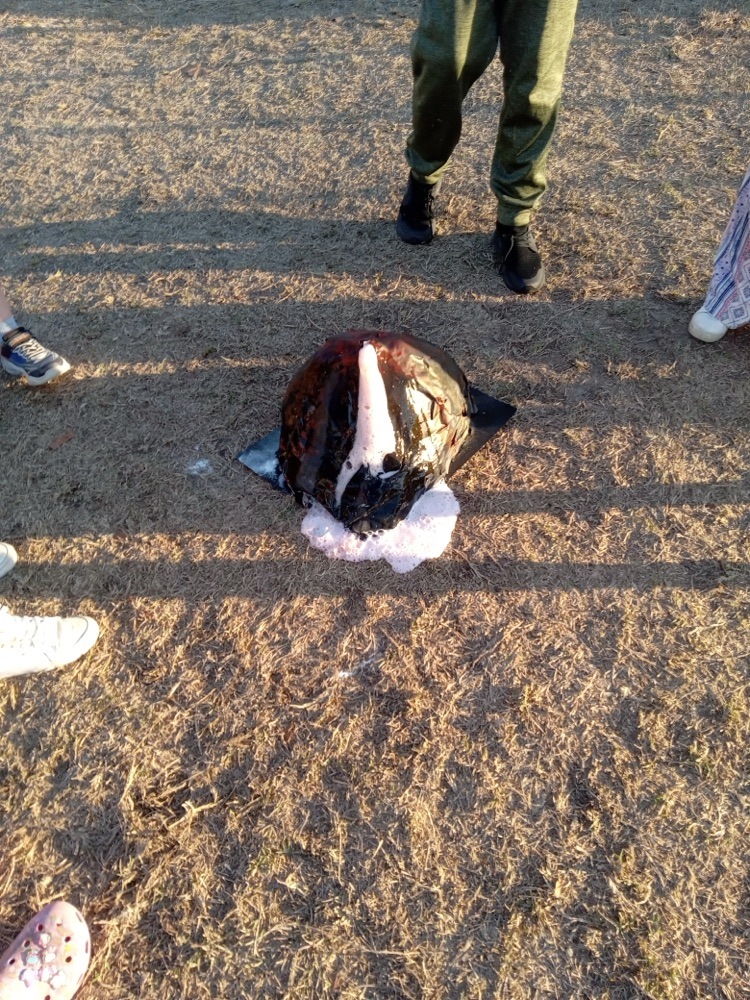 afterschool enrichment 