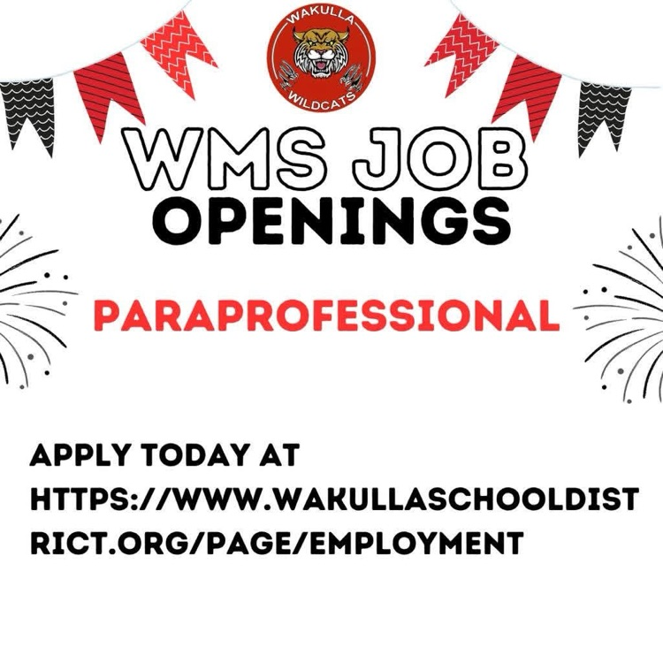 paraprofessional job opening