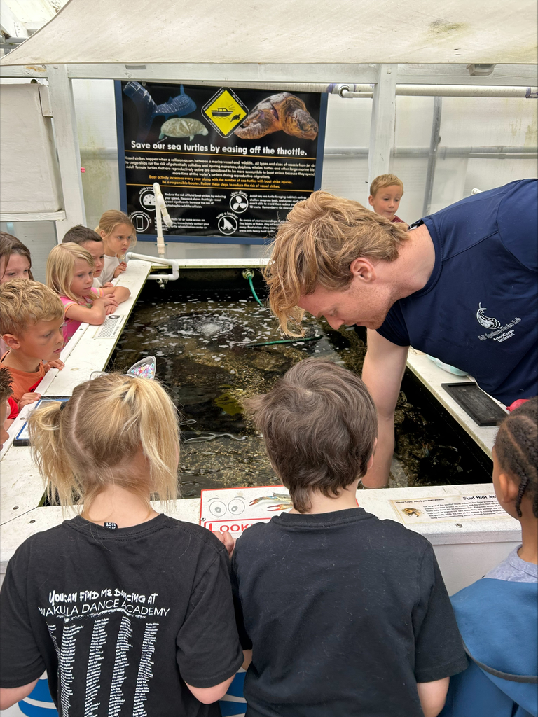 kindergarten field trip