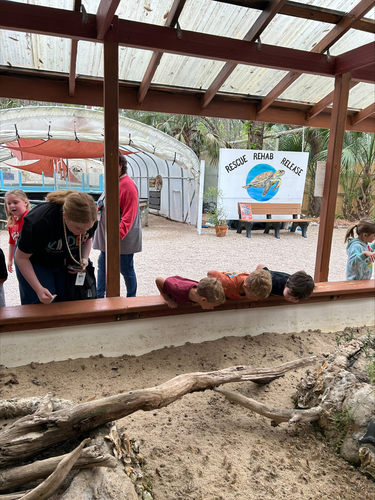 kindergarten field trip