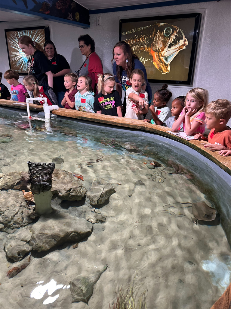 kindergarten field trip