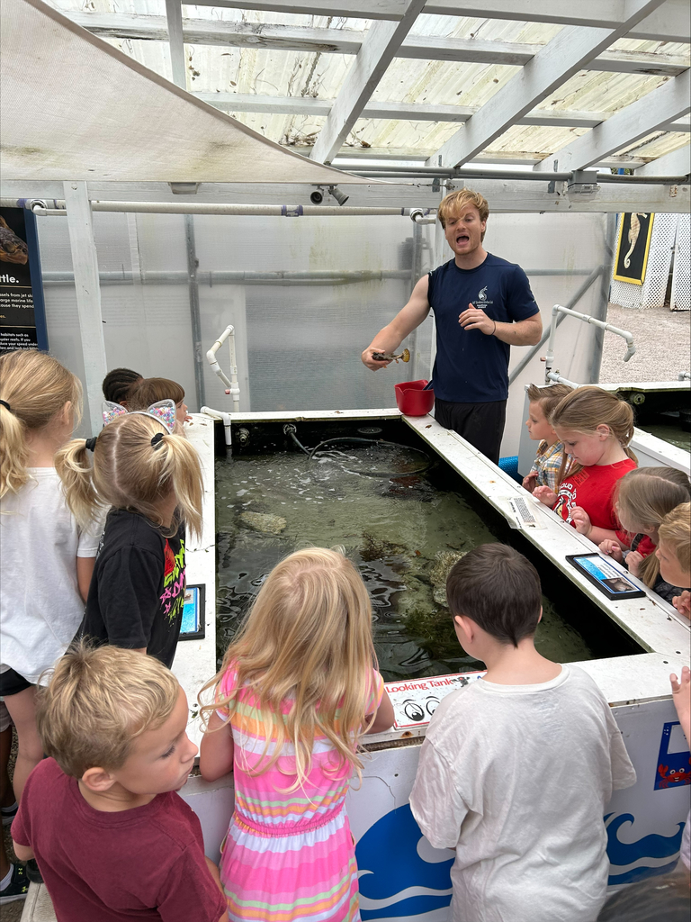 kindergarten field trip