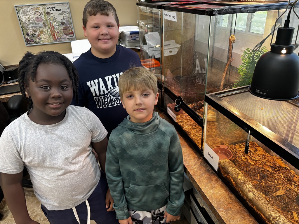 On Friday, April 10th, The First grade classes went to the St. Marks National Wildlife Refuge for a fun Field trip. These students explored the beauty of Florida’s natural environment, observed local wildlife, and engaged in hands-on learning outside the classroom. It was a day filled with lots of experiences and memories that the kids will not forget. These Mustangs are so smart and loved being out in the wild!