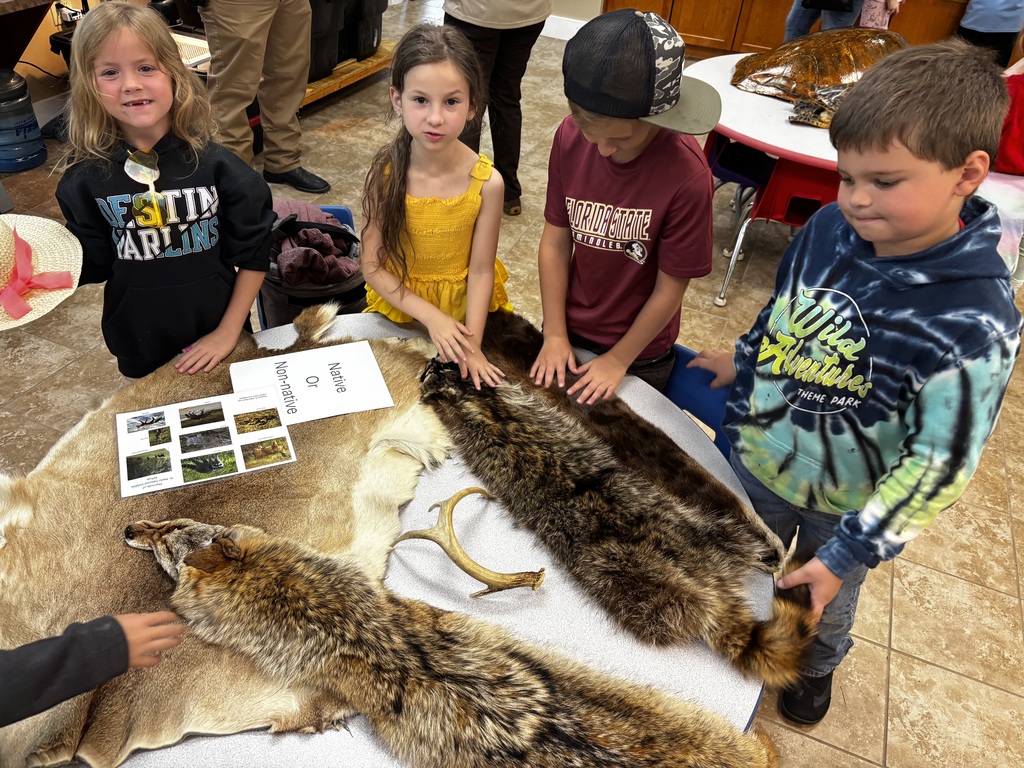 On Friday, April 10th, The First grade classes went to the St. Marks National Wildlife Refuge for a fun Field trip. These students explored the beauty of Florida’s natural environment, observed local wildlife, and engaged in hands-on learning outside the classroom. It was a day filled with lots of experiences and memories that the kids will not forget. These Mustangs are so smart and loved being out in the wild!