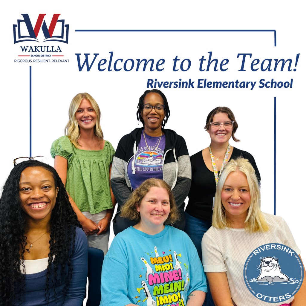 Welcome to the Team Riversink Hires