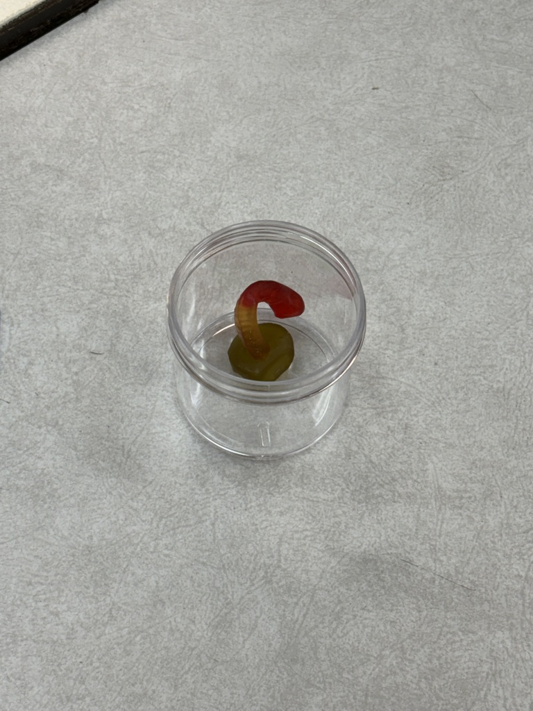 5th graders doing a fun science experiment 