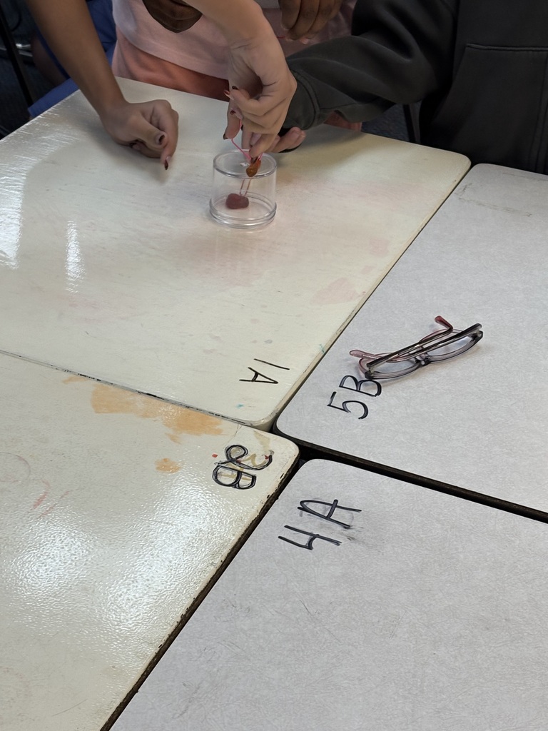 5th graders doing a fun science experiment 
