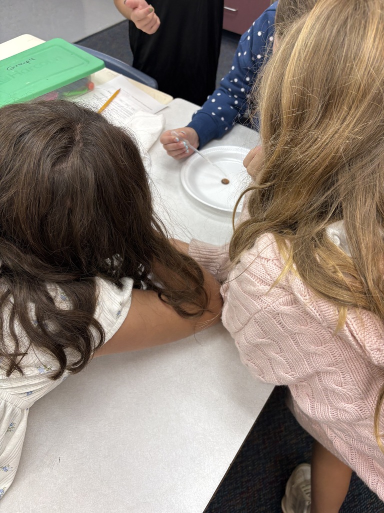 5th graders doing a fun science experiment 