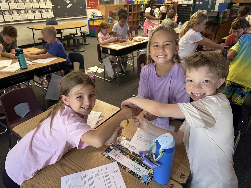 Stem Activity