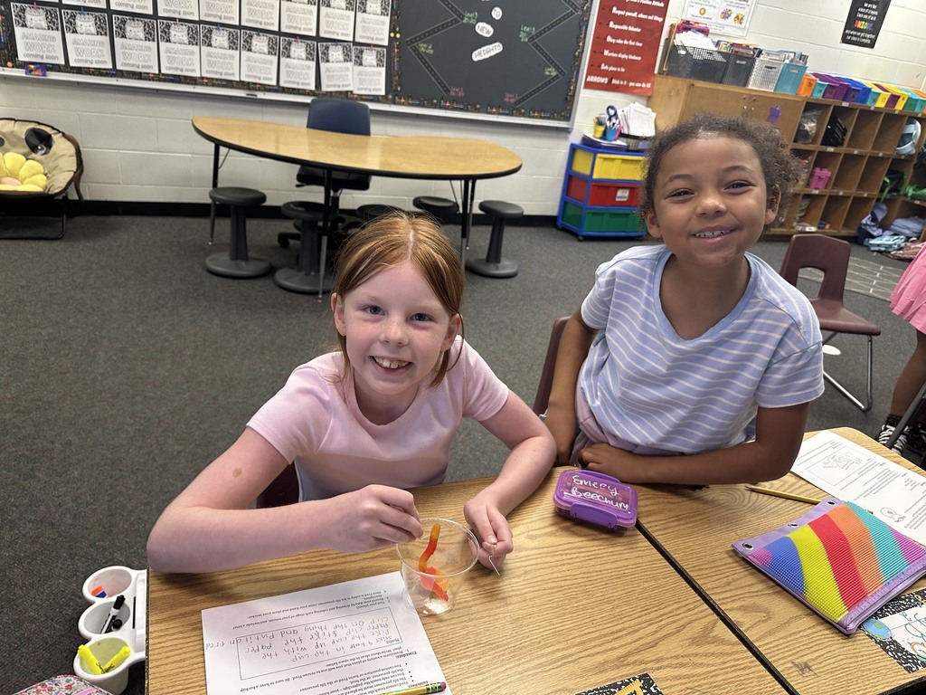 STEM Activity