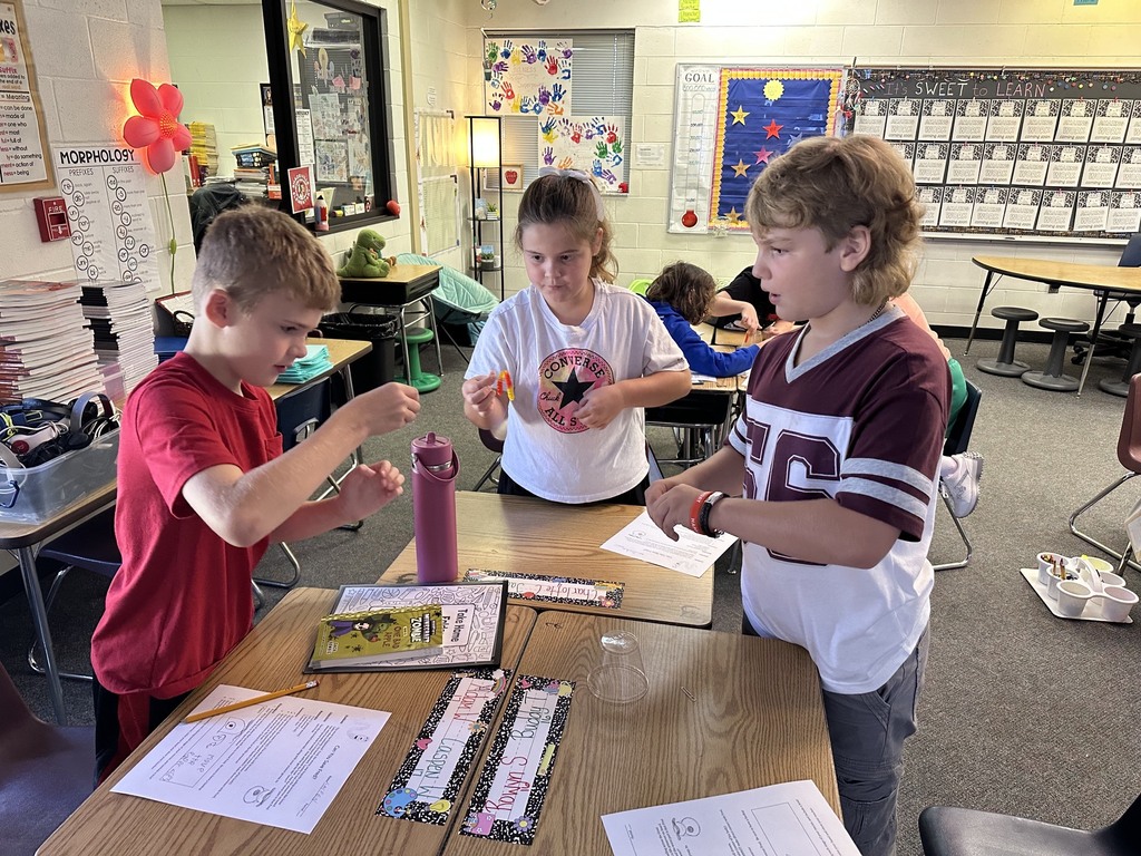 Stem Activity
