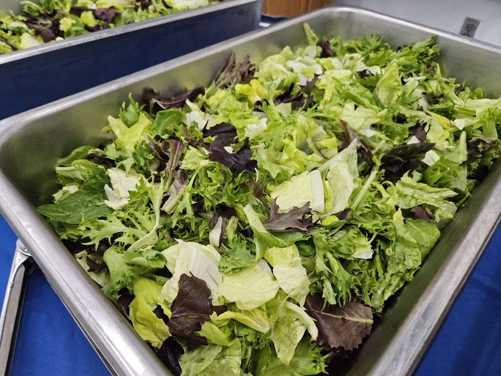 Large tray of fresh mixed green salad prepared for the team meal.