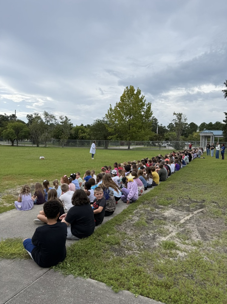 science stampede demonstration