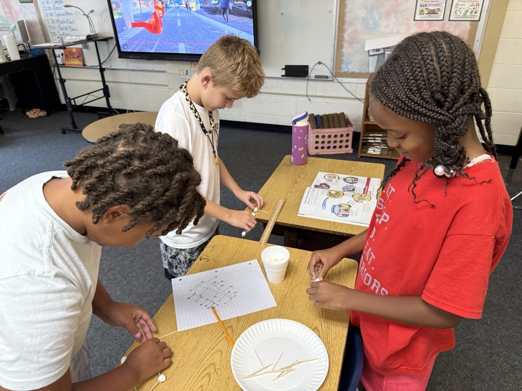 Engineering Design Process