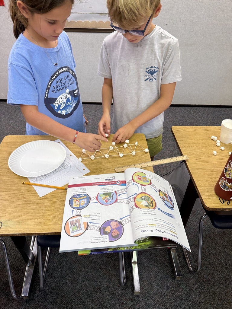 Engineering Design Process