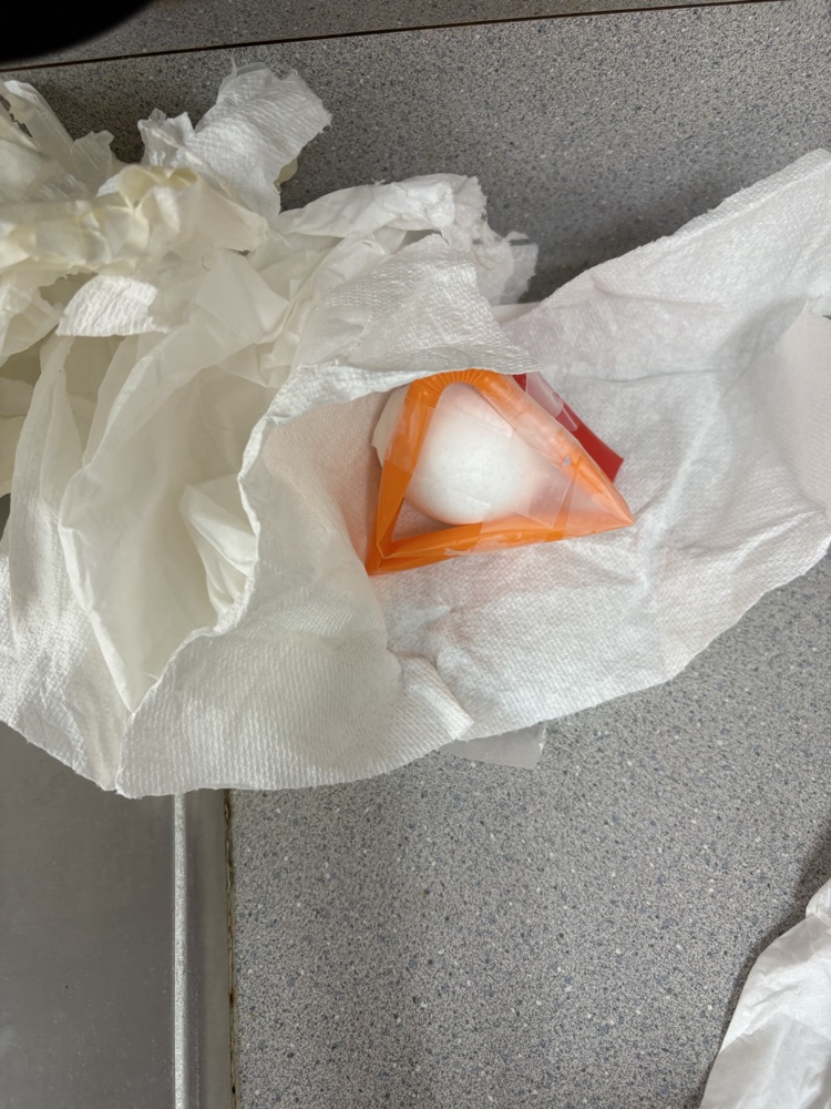 This Friday’s 5th grade science lab was all about the engineering process. Students designed and built a contraption to protect an egg from an 8 ft drop!  Some made it and some did not, but they had a great time and can’t wait to redesign!
