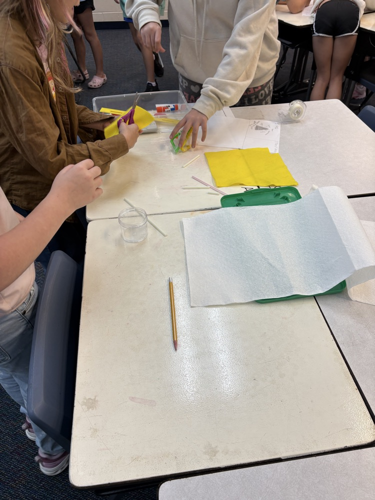 This Friday’s 5th grade science lab was all about the engineering process. Students designed and built a contraption to protect an egg from an 8 ft drop!  Some made it and some did not, but they had a great time and can’t wait to redesign!