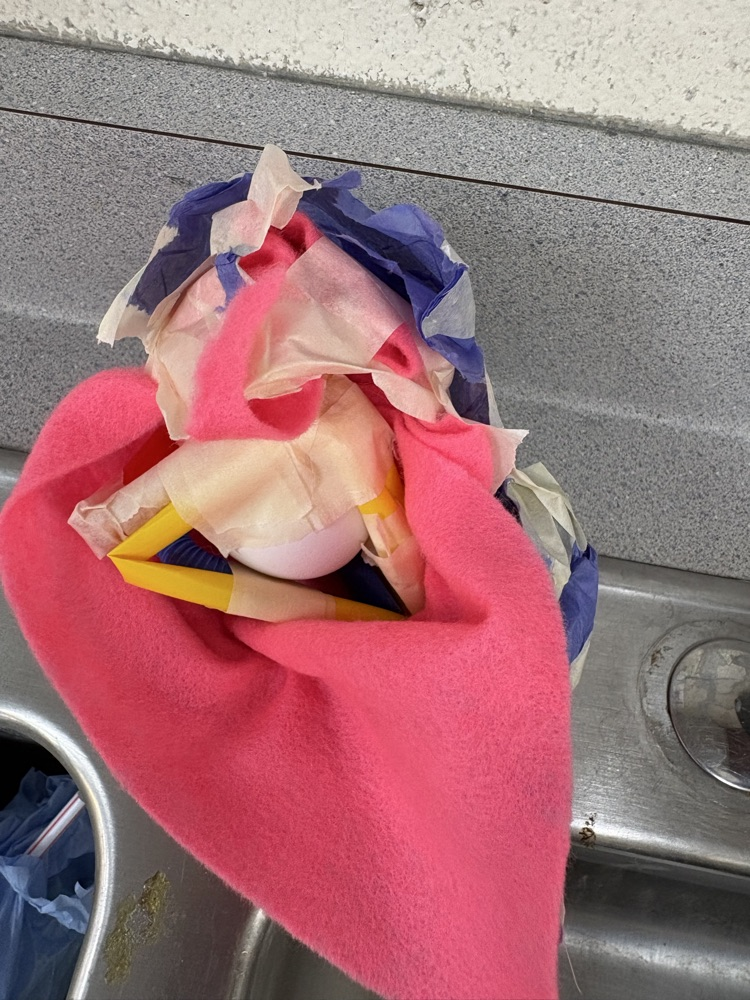 This Friday’s 5th grade science lab was all about the engineering process. Students designed and built a contraption to protect an egg from an 8 ft drop!  Some made it and some did not, but they had a great time and can’t wait to redesign!