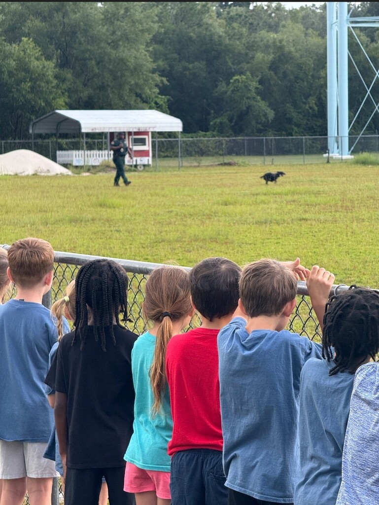 k9