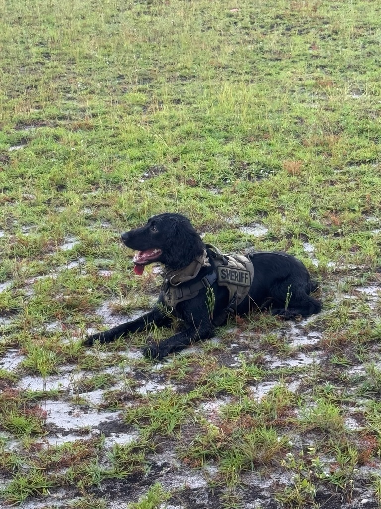 k9