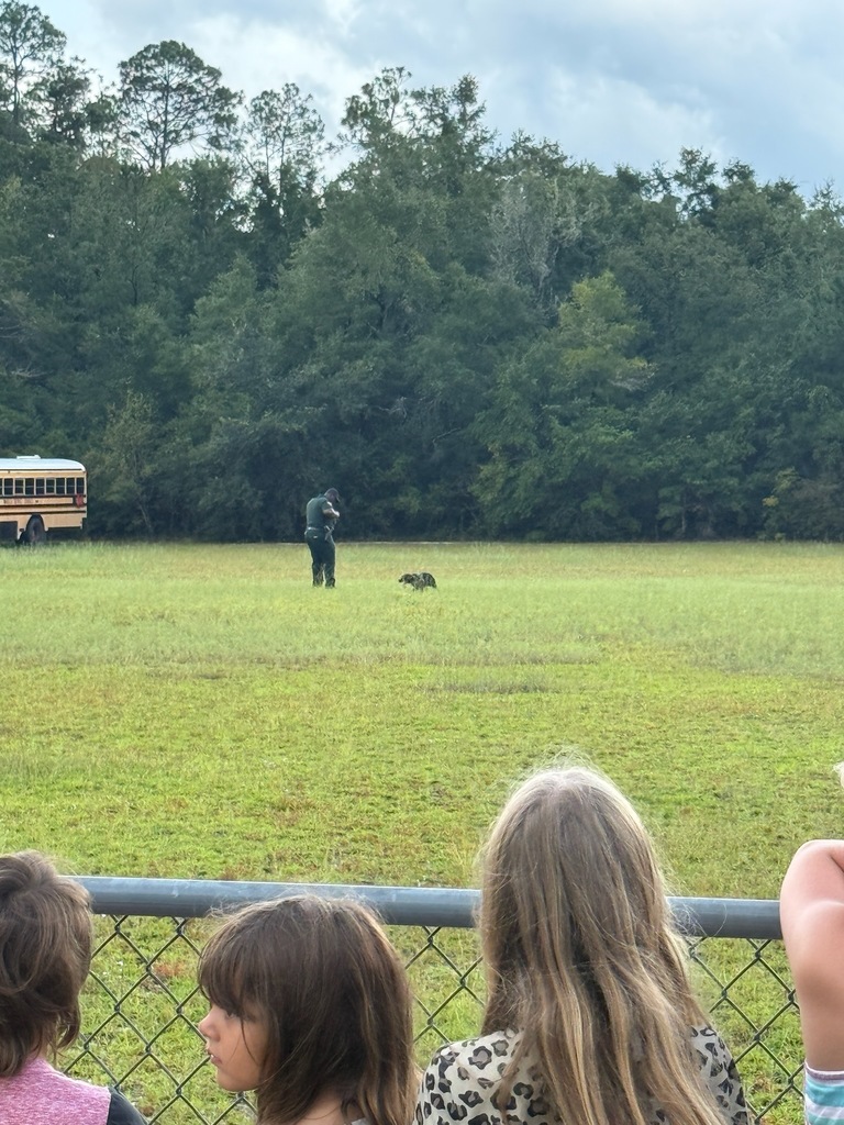 k9