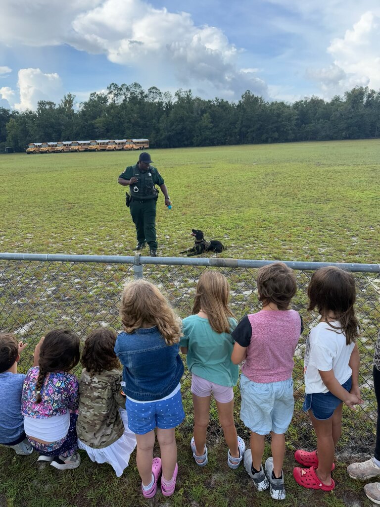 k9