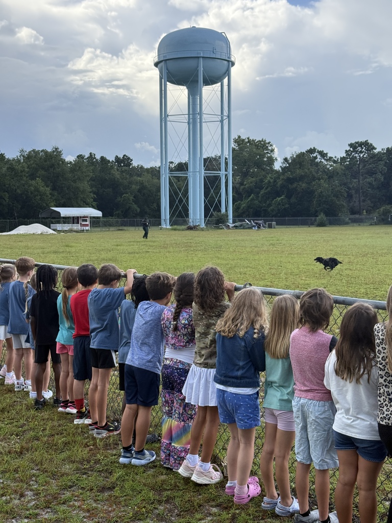 k9
