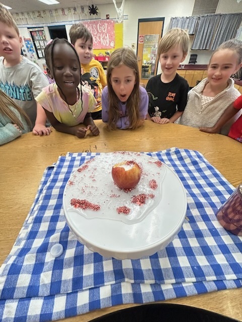 Apple Day Activities