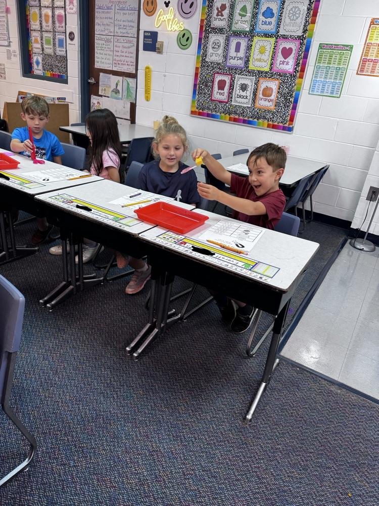 Mrs. Strutz’s class uses their investigation skills to determine if objects are magnetic