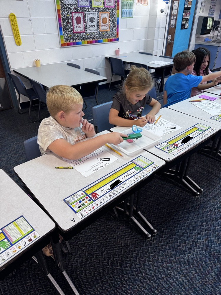 Mrs. Strutz’s class uses their investigation skills to determine if objects are magnetic.