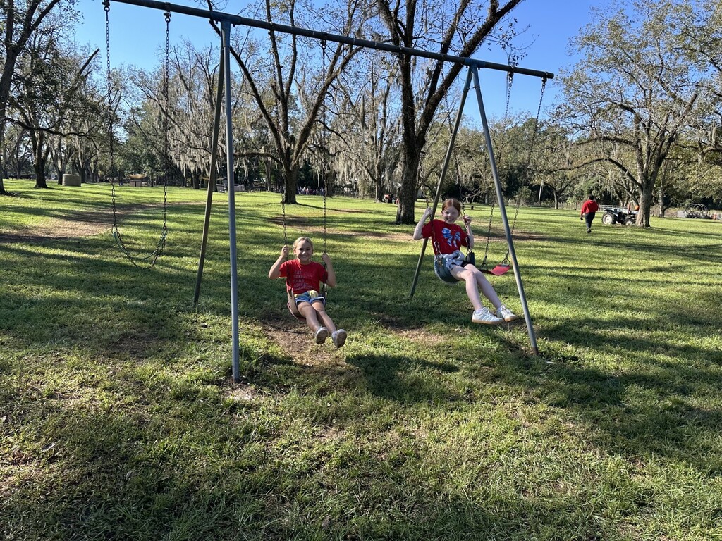 swings