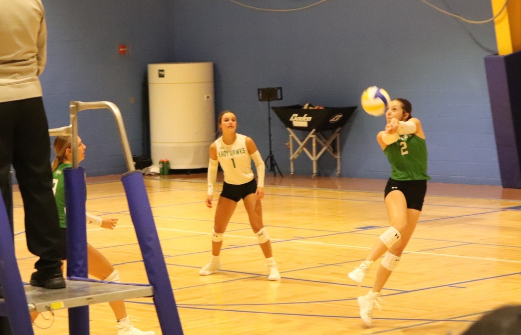 vb