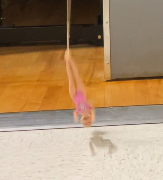Barbie Bungee