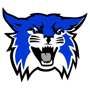 wildcat