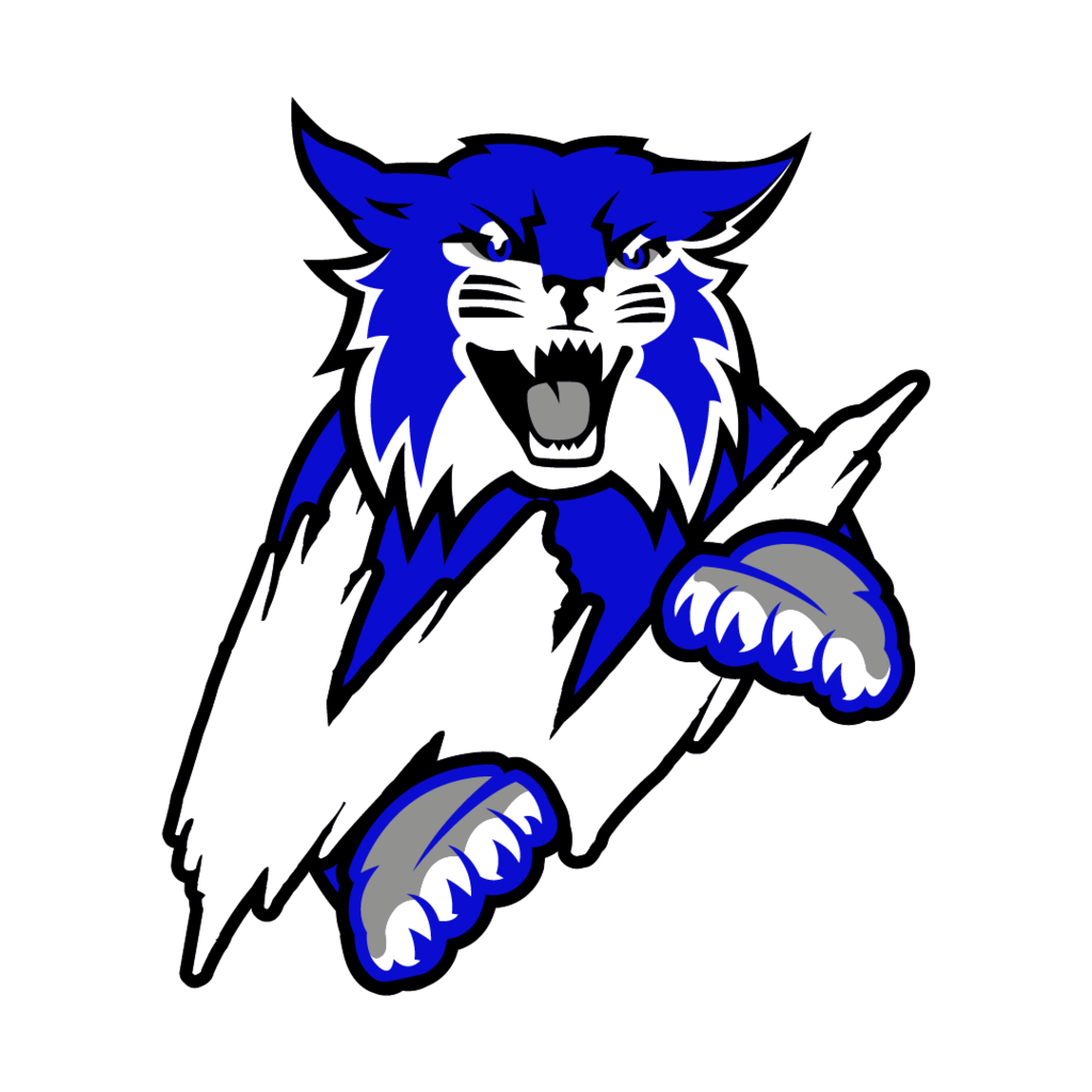 Youth Football Camp