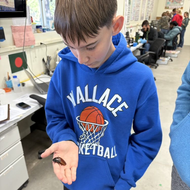 Ethan holding a cockroach 