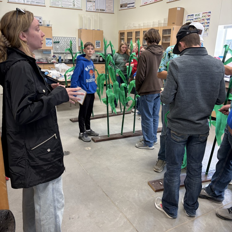 listening for instructions 