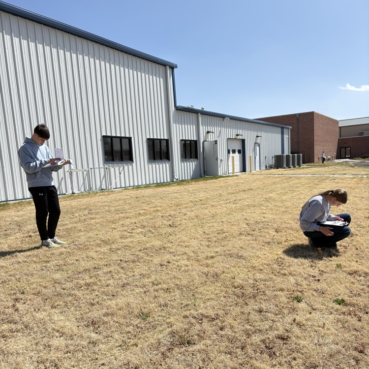 Rally and Tobin checking their terms