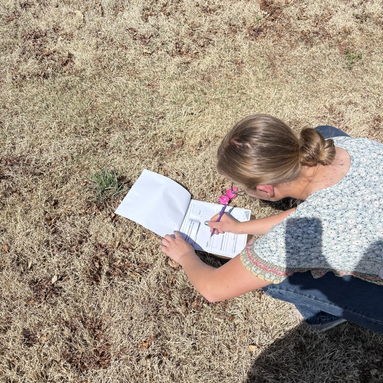 Hazel checking her terms