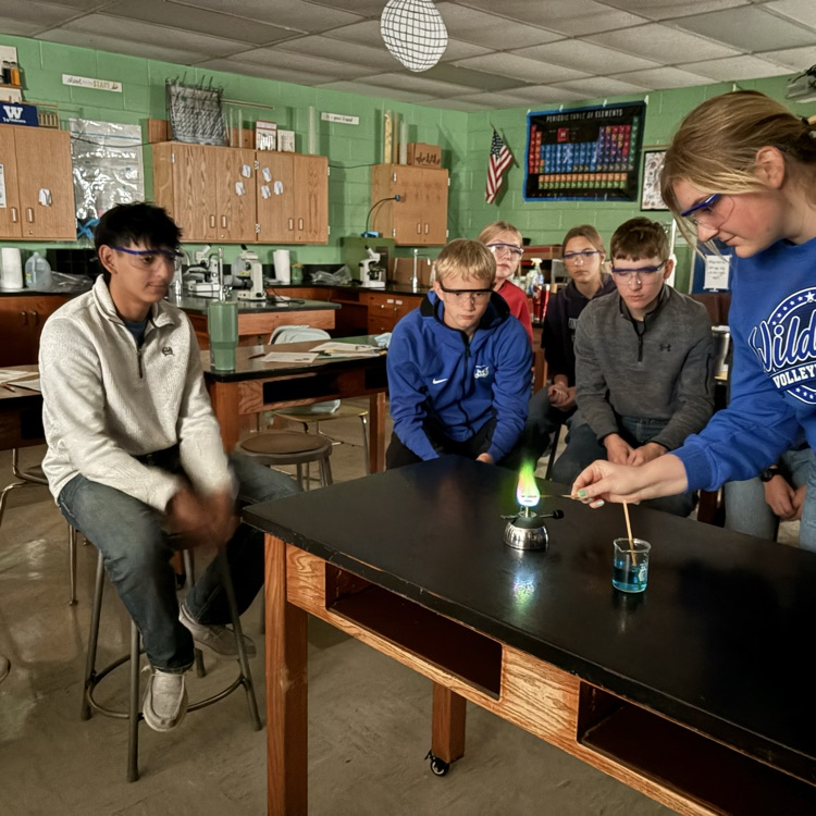 flame test demo day