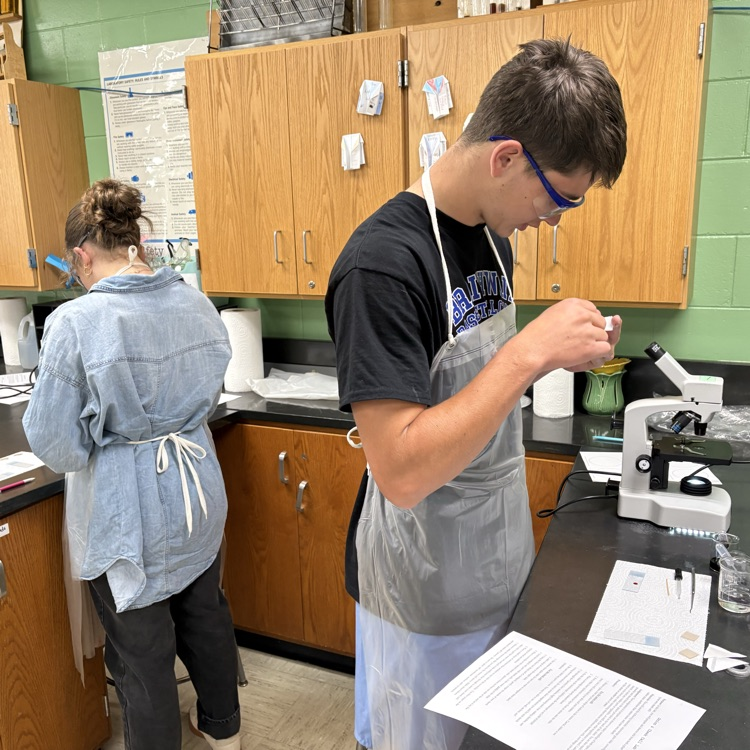 Tobin peeling a thin membrane from onion 🧅 
