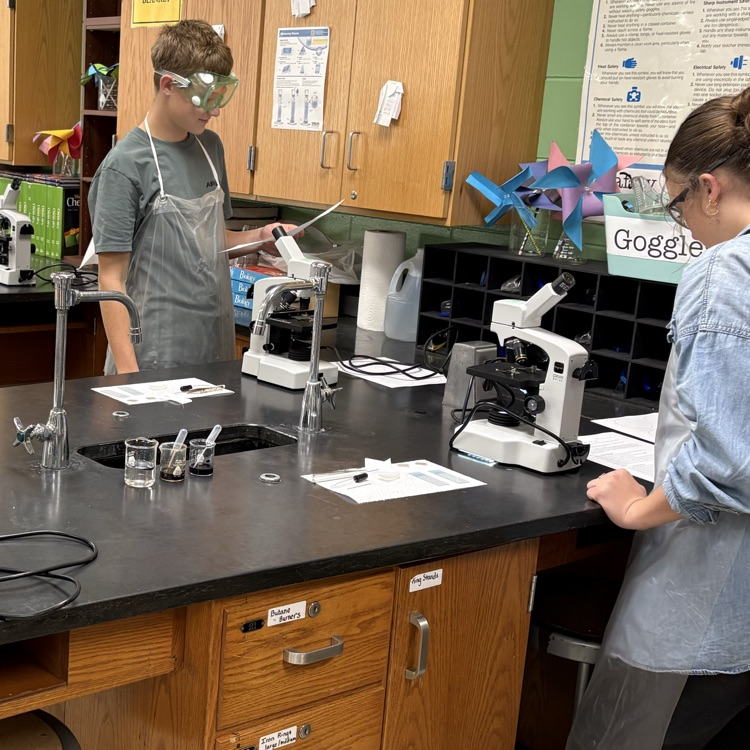 Brysen and Afton investigating onion and cheek cells