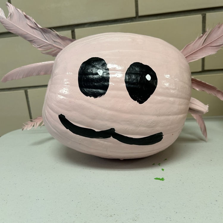 Axolotl pumpkin