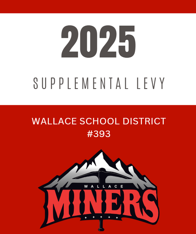 Levy information 2025