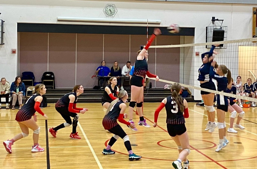 volleyball players in action